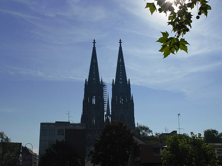 Fotos Kölner Dom