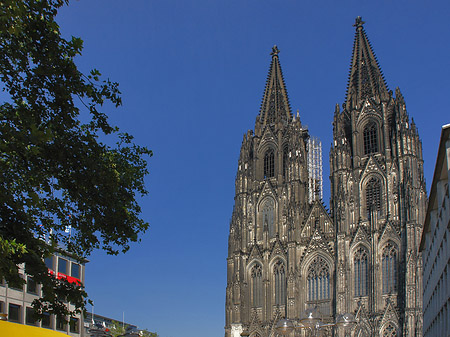 Foto gelbe Sonnenschirme vor Kölner Dom - Köln