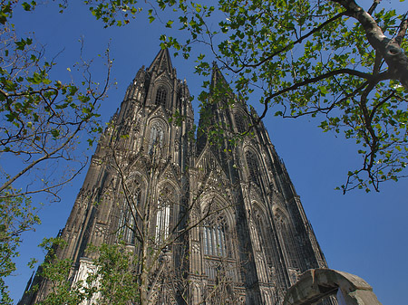 Fotos Westfassade des Kölner Doms | Köln