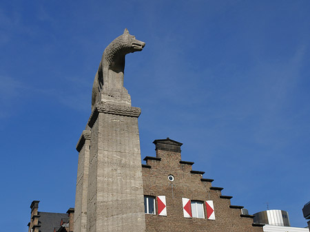 Foto Wolfsstatue und Stadtmuseum - Köln