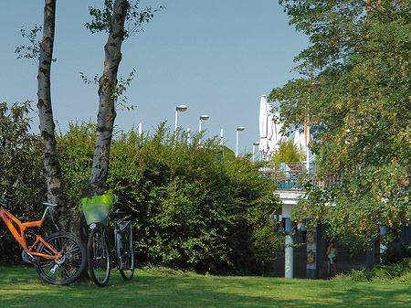 Fahrräder im Rheinpark