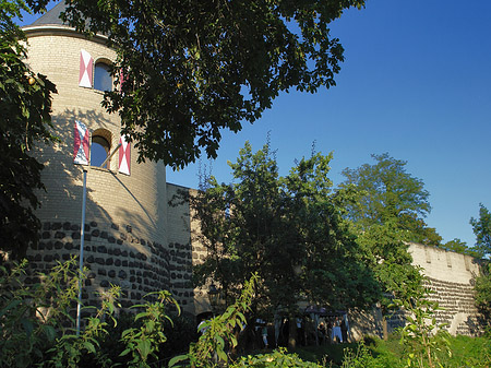 Fotos Sachsenturm hinter Busch