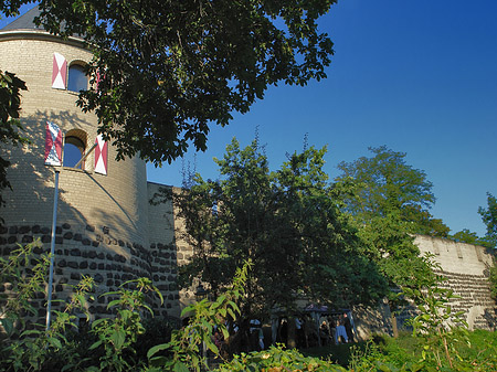 Foto Sachsenturm hinter Busch