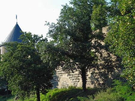 Stadtmauer und Sachsenturm am Sachsenring Fotos