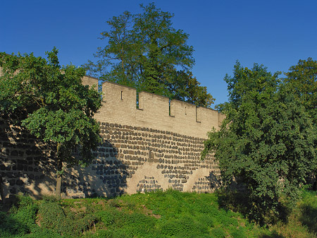 Fotos Stadtmauer am Sachsenring