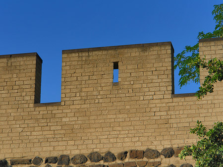 Fotos Stadtmauer am Sachsenring | Köln