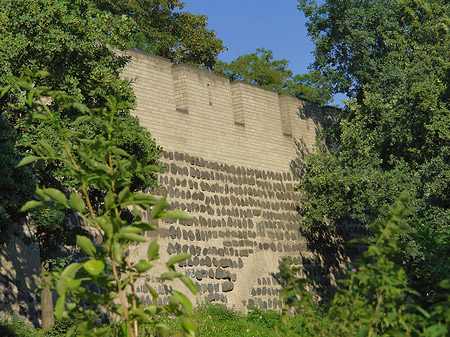 Stadtmauer am Sachsenring