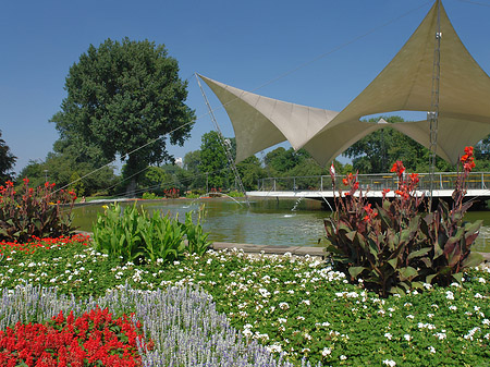 Tanzbrunnen im Rheinpark Foto 