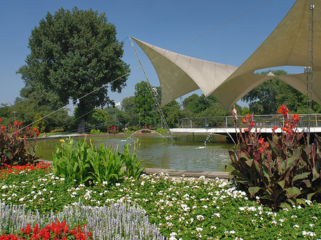 Foto Tanzbrunnen im Rheinpark - Köln