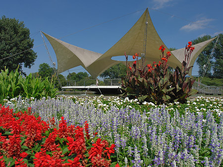 Foto Tanzbrunnen im Rheinpark - Köln