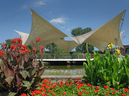 Tanzbrunnen im Rheinpark Foto 