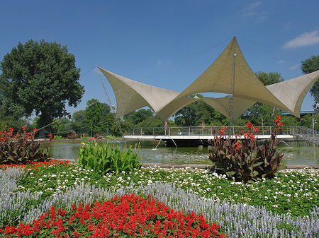 Fotos Tanzbrunnen im Rheinpark | Köln