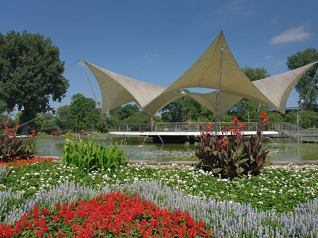 Foto Tanzbrunnen im Rheinpark