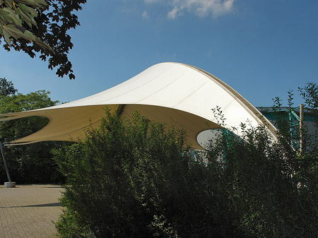 Tanzbrunnen im Rheinpark