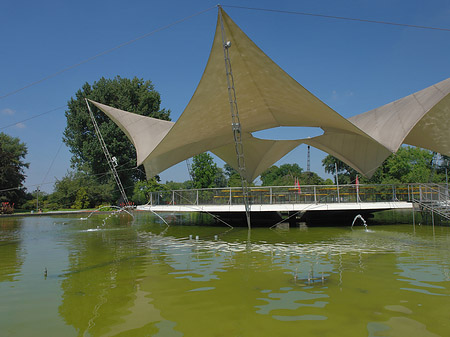 Fotos Tanzbrunnen im Rheinpark