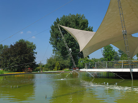 Tanzbrunnen im Rheinpark Foto 